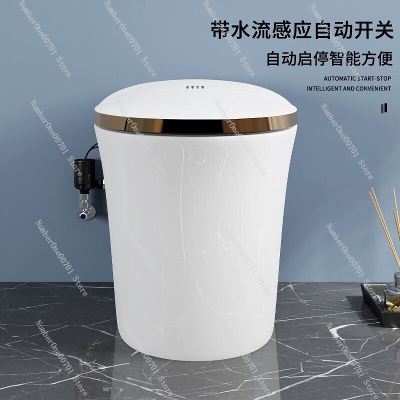 スマートトイレブースターポンプ自動水圧ポンプ家庭用静音タンク - Home Bathroom Pressure Pump のレビューと価格
